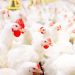 poulet
